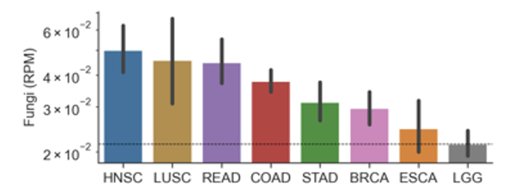 Bar chart with different color bars