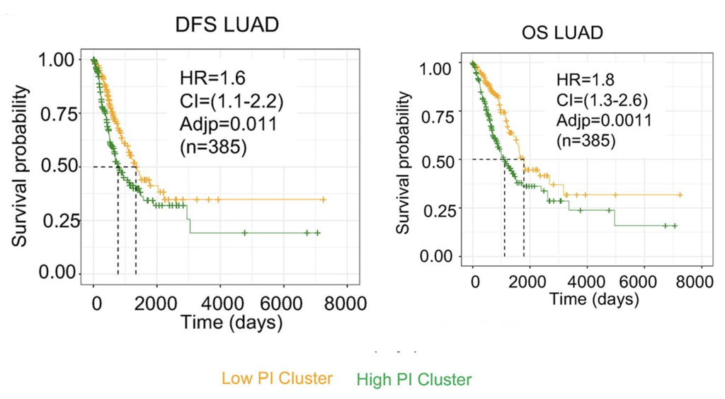 High proliferation index (PI) tumors (140-gene set) were associated with increased disease-free and overall survival in lung adenoma adenoma samples from The Cancer Genome Atlas (TCGA).