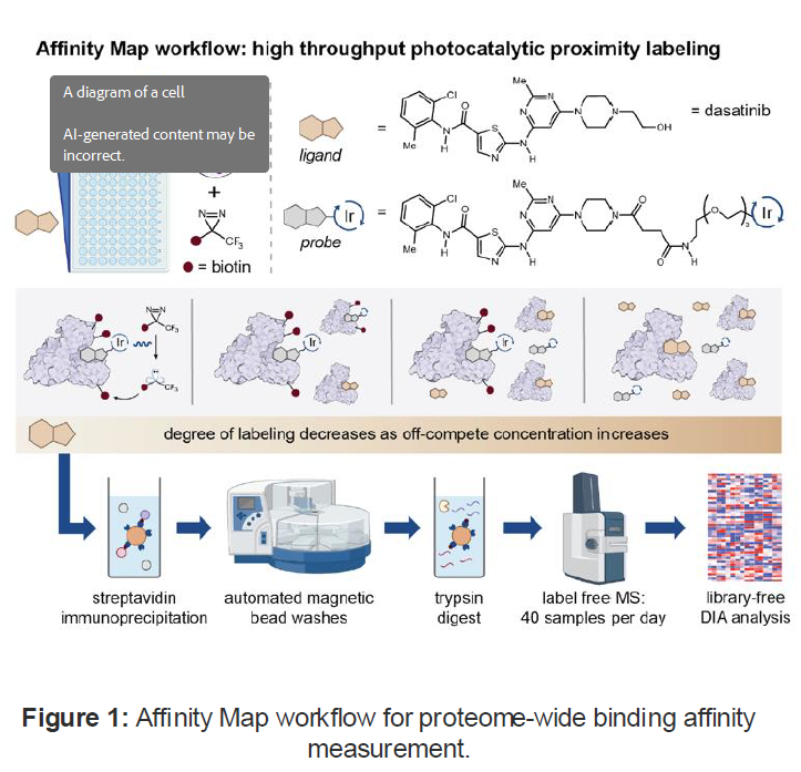 Affinity Map workflow for proteome-wide binding affinity measurement.
