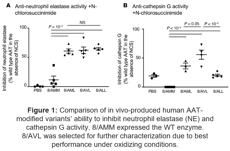 Comparison of in vivo-produced human AATmodified variants’ ability to inhibit neutrophil elastase (NE) and cathepsin G activity.