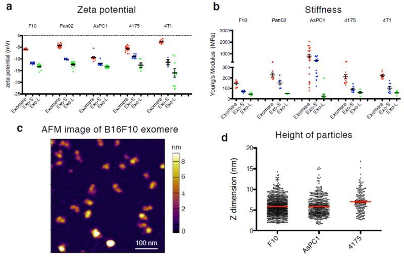 Figure: characterization of physical and mechanical properties of exomeres and exosome subpopulations.