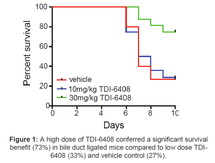 Data chart: A high dose of TDI-6408 conferred a significant survival benefit (73%) in bile duct ligated mice compared to low dose TDI6408 (33%) and vehicle control (27%).
