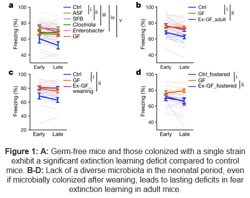 Figure of germ-free mice and those colonized with a single strain exhibit a significant extinction learning deficit compared to control mice.