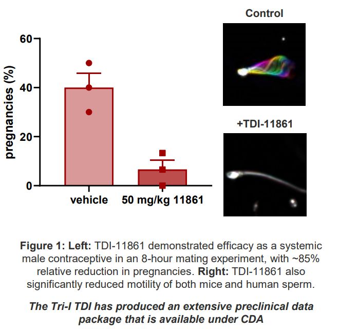 Figure proving TDI-11861 significantly reduced motility of both mice and human sperm