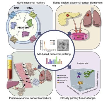 Overview of the EVP platform for diagnosis and prognosis of multiple cancer subtypes.