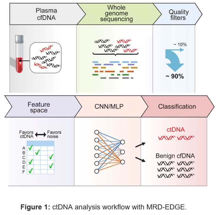 Figure of ctDNA analysis workflow with MRD-EDGE