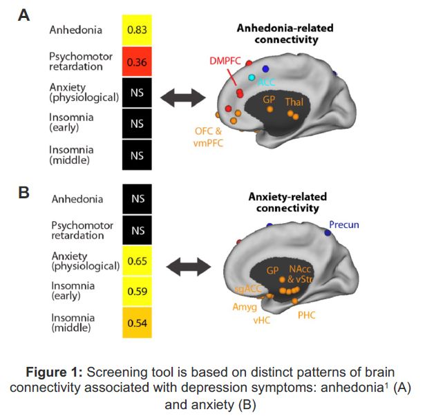 Screening tool is based on distinct patterns of brain connectivity associated with depression symptoms