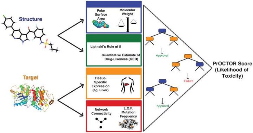 The PrOCTOR approach integrates chemical properties, drug-likeness measures and target-based properties of a molecule into a random forest model to predict whether the drug is likely to fail clinical trials for toxicity.